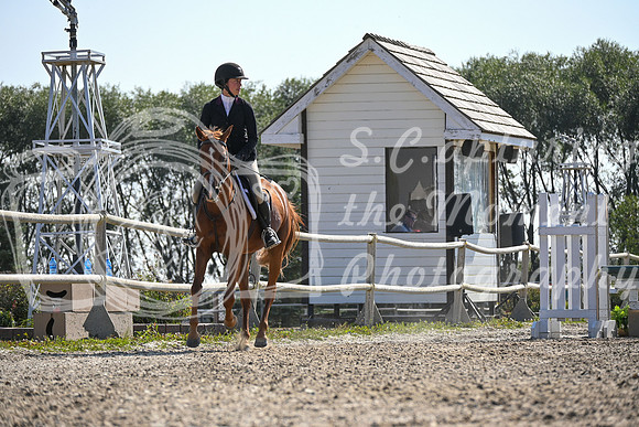 2025 - Petra - Harvest Horse Show - Sunday, September 13th 10539