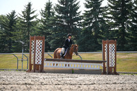 2025 - Petra - Harvest Horse Show - Sunday, September 13th 10541