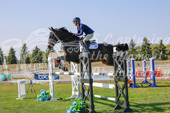 2025 - Haylee - Harvest Horse Show - Sunday, September 13th 06975