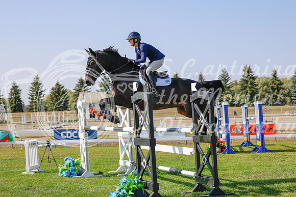 2025 - Haylee - Harvest Horse Show - Sunday, September 13th 06974