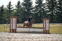 2025 - Petra - Harvest Horse Show - Sunday, September 13th 10542