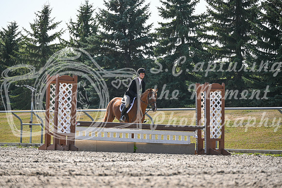 2025 - Petra - Harvest Horse Show - Sunday, September 13th 10542