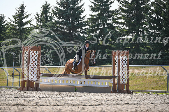 2025 - Petra - Harvest Horse Show - Sunday, September 13th 10543