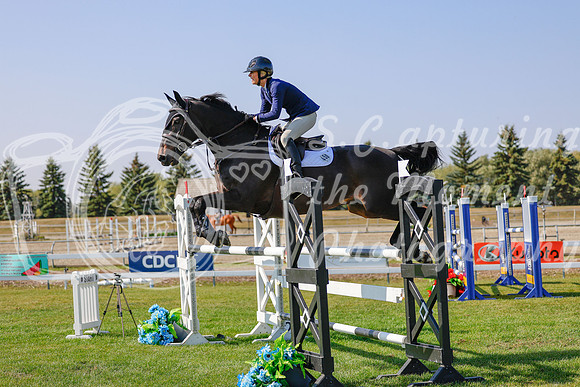 2025 - Haylee - Harvest Horse Show - Sunday, September 13th 06976