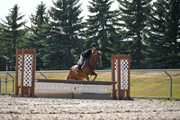 2025 - Petra - Harvest Horse Show - Sunday, September 13th 10544