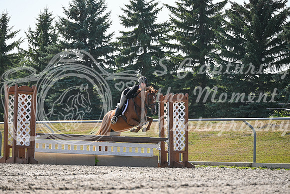 2025 - Petra - Harvest Horse Show - Sunday, September 13th 10545