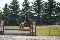 2025 - Petra - Harvest Horse Show - Sunday, September 13th 10546