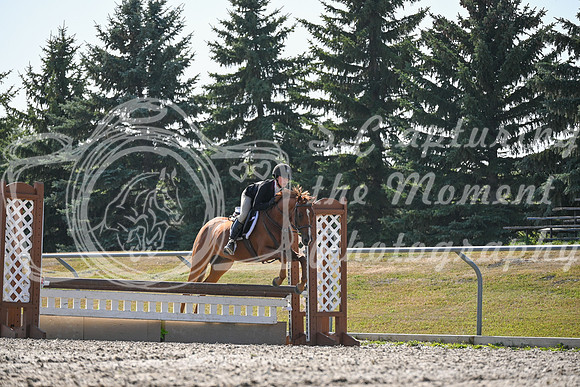 2025 - Petra - Harvest Horse Show - Sunday, September 13th 10546