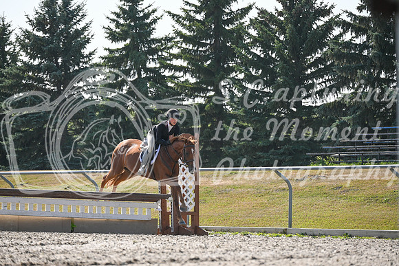 2025 - Petra - Harvest Horse Show - Sunday, September 13th 10547