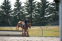 2025 - Petra - Harvest Horse Show - Sunday, September 13th 10548