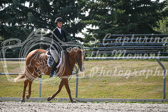 2025 - Petra - Harvest Horse Show - Sunday, September 13th 10550