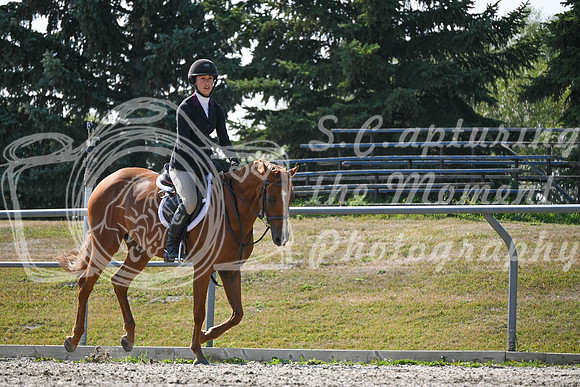 2025 - Petra - Harvest Horse Show - Sunday, September 13th 10551