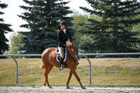 2025 - Petra - Harvest Horse Show - Sunday, September 13th 10552