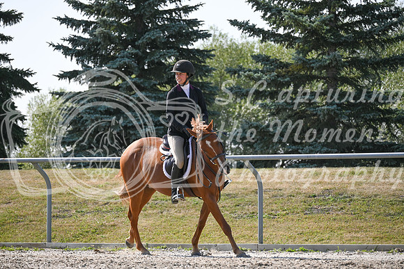 2025 - Petra - Harvest Horse Show - Sunday, September 13th 10552