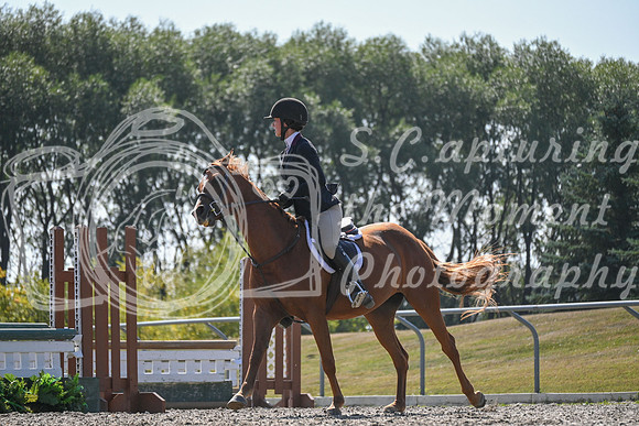2025 - Petra - Harvest Horse Show - Sunday, September 13th 10555