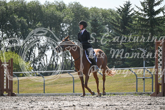 2025 - Petra - Harvest Horse Show - Sunday, September 13th 10554