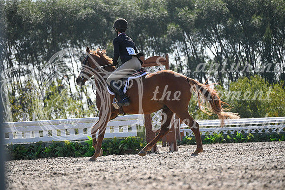 2025 - Petra - Harvest Horse Show - Sunday, September 13th 10556