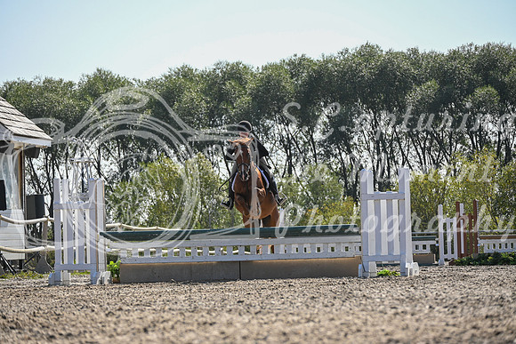 2025 - Petra - Harvest Horse Show - Sunday, September 13th 10557