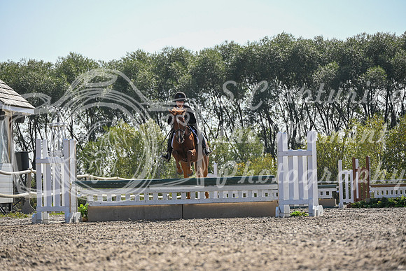 2025 - Petra - Harvest Horse Show - Sunday, September 13th 10558