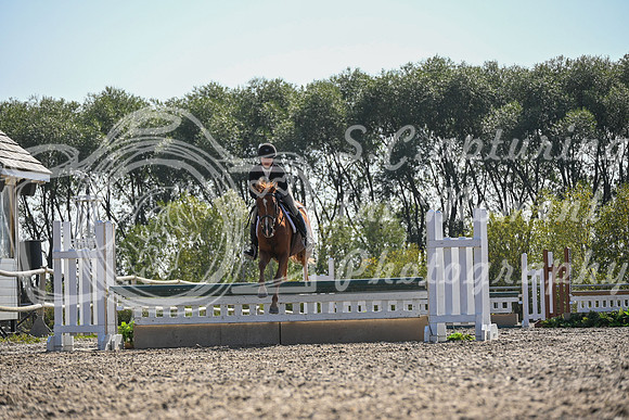 2025 - Petra - Harvest Horse Show - Sunday, September 13th 10559