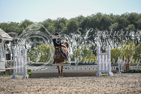 2025 - Petra - Harvest Horse Show - Sunday, September 13th 10561