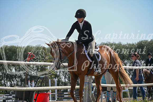 2025 - Petra - Harvest Horse Show - Sunday, September 13th 10565