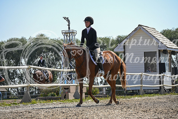 2025 - Petra - Harvest Horse Show - Sunday, September 13th 10564