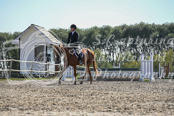 2025 - Petra - Harvest Horse Show - Sunday, September 13th 10563