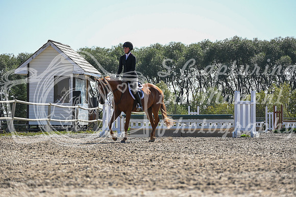 2025 - Petra - Harvest Horse Show - Sunday, September 13th 10562