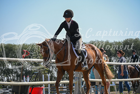 2025 - Petra - Harvest Horse Show - Sunday, September 13th 10566