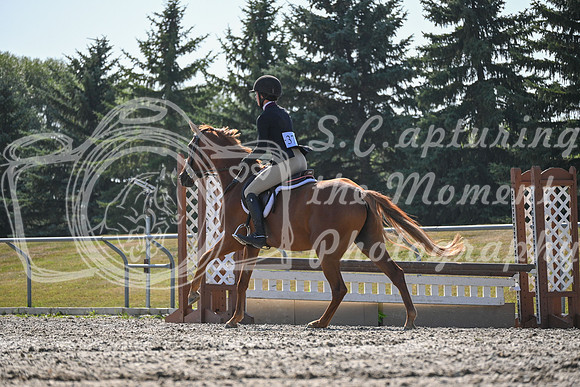2025 - Petra - Harvest Horse Show - Sunday, September 13th 10693