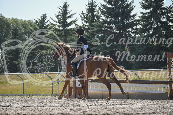 2025 - Petra - Harvest Horse Show - Sunday, September 13th 10694