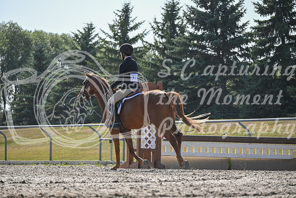 2025 - Petra - Harvest Horse Show - Sunday, September 13th 10695
