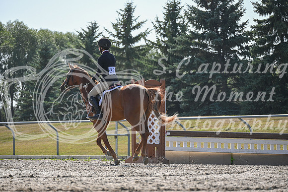 2025 - Petra - Harvest Horse Show - Sunday, September 13th 10696