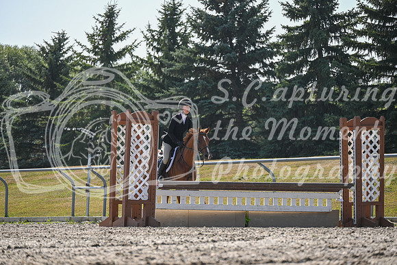 2025 - Petra - Harvest Horse Show - Sunday, September 13th 10698