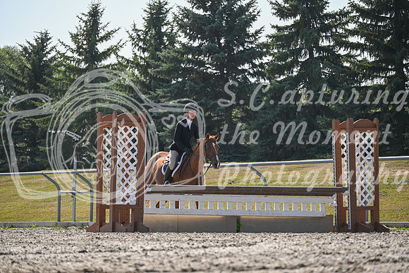 2025 - Petra - Harvest Horse Show - Sunday, September 13th 10699