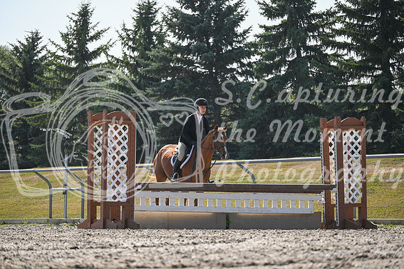 2025 - Petra - Harvest Horse Show - Sunday, September 13th 10700
