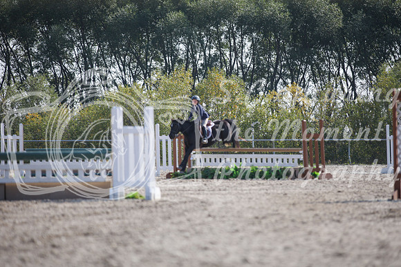 2025 - Karlee - Harvest Horse Show - Sunday, September 13th 12147