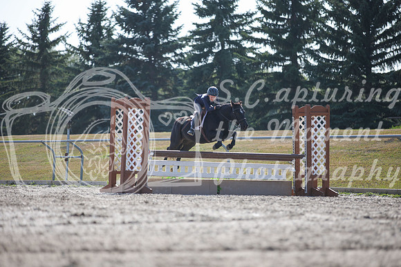 2025 - Karlee - Harvest Horse Show - Sunday, September 13th 12152