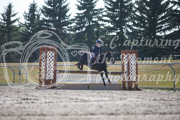 2025 - Karlee - Harvest Horse Show - Sunday, September 13th 12154