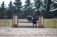 2025 - Karlee - Harvest Horse Show - Sunday, September 13th 12156