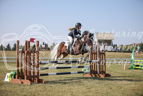 2025 - Karlee - Harvest Horse Show - Sunday, September 13th 08194