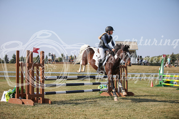 2025 - Karlee - Harvest Horse Show - Sunday, September 13th 08197