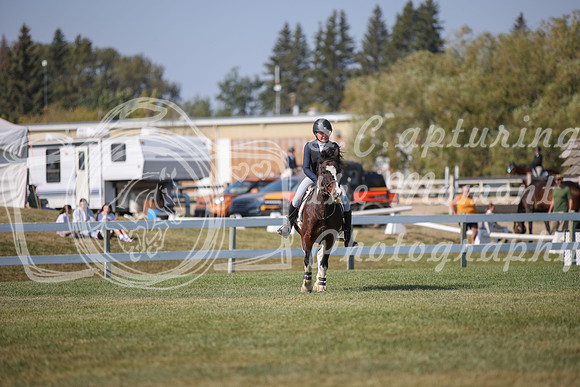 2025 - Karlee - Harvest Horse Show - Sunday, September 13th 08228