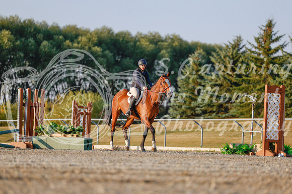 2025 - Haylee - Harvest Horse Show - Sunday, September 13th 03853