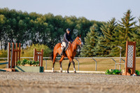 2025 - Haylee - Harvest Horse Show - Sunday, September 13th 03854