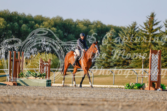 2025 - Haylee - Harvest Horse Show - Sunday, September 13th 03856