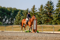 2025 - Haylee - Harvest Horse Show - Sunday, September 13th 03857