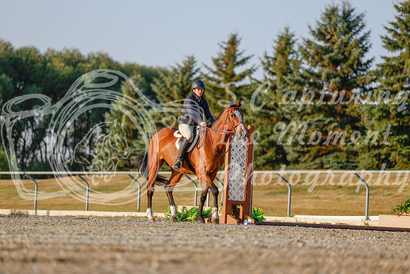 2025 - Haylee - Harvest Horse Show - Sunday, September 13th 03857