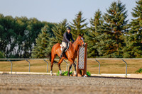 2025 - Haylee - Harvest Horse Show - Sunday, September 13th 03858